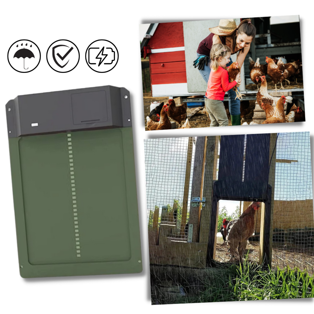 Automatic Chicken Coop Door - Ozerty